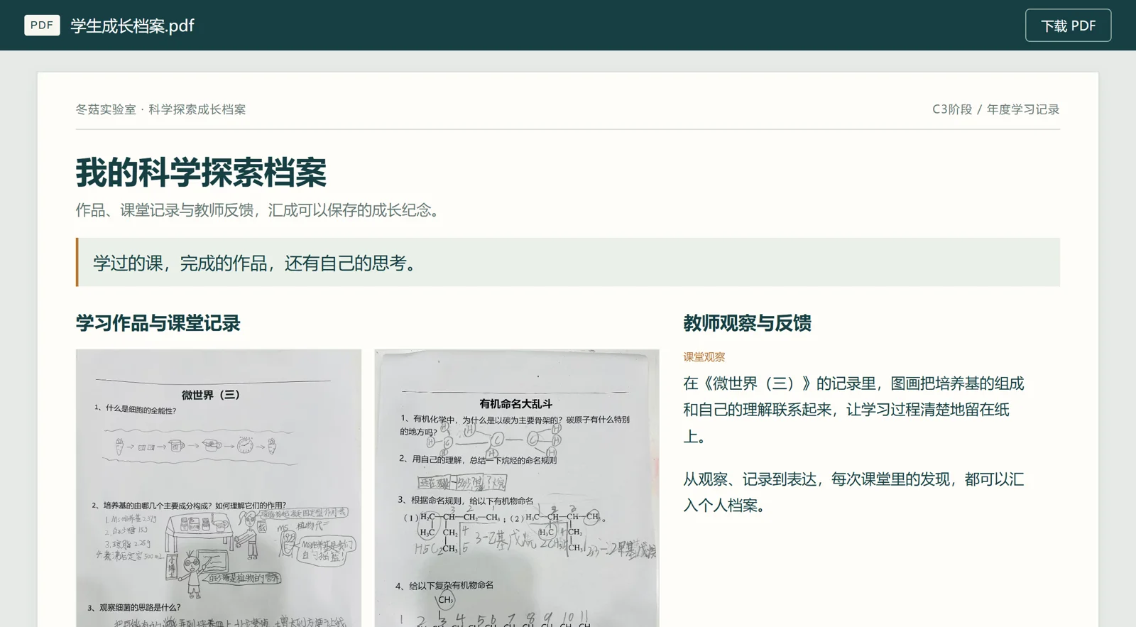 学生成长档案 PDF 界面